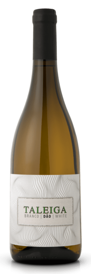 Taleiga Branco