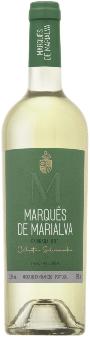 Colheita Selecionada Branco